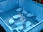 DSCF1169.JPG (43KB)