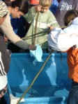 DSCF1217.JPG (56KB)