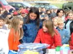 DSCF1263.JPG (68KB)