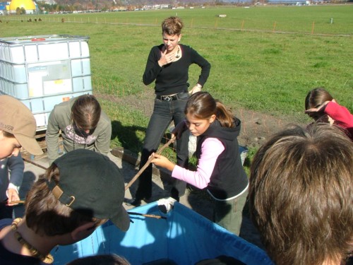 DSCF3464.JPG (63KB)